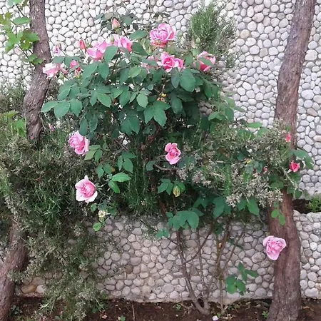 Dubcic: For Perfect Vacation 公寓 *