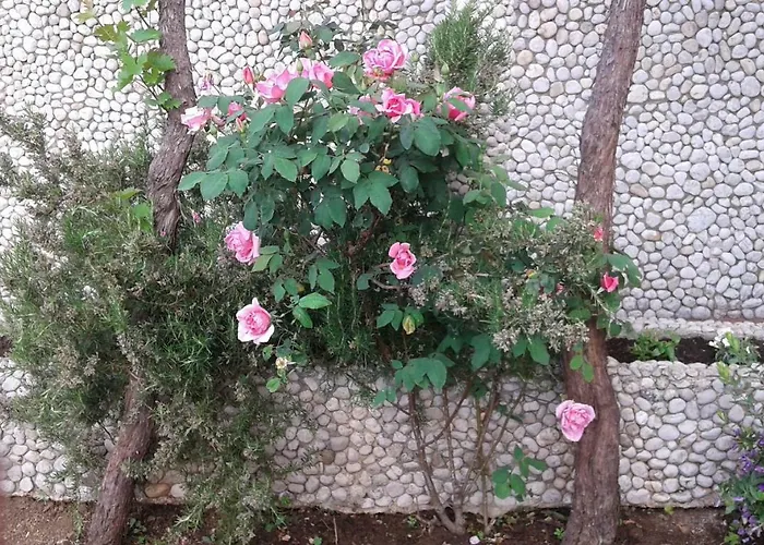 Dubcic: For Perfect Vacation 公寓 *